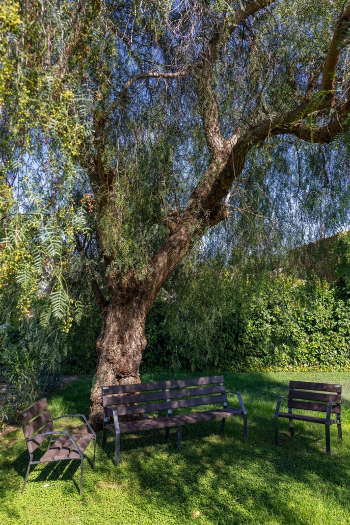 Tanatori de Tortosa – Remsa Memorial